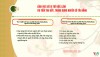 Lĩnh vực và vị trí việc làm ưu tiên thu hút, trọng dụng người có tài năng