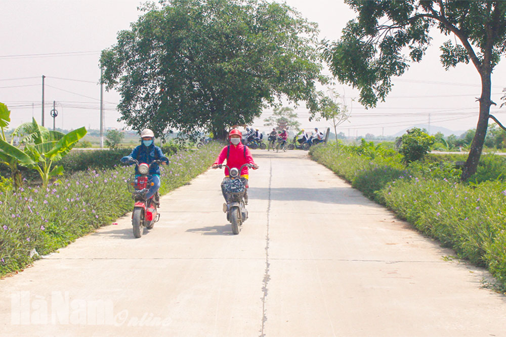 Triển khai xây dựng NTM kiểu mẫu, các trục đường giao thông trên địa bàn xã Thanh Nguyên (Thanh Liêm) đều đã được trồng hoa và lắp đặt đường điện chiếu sáng.