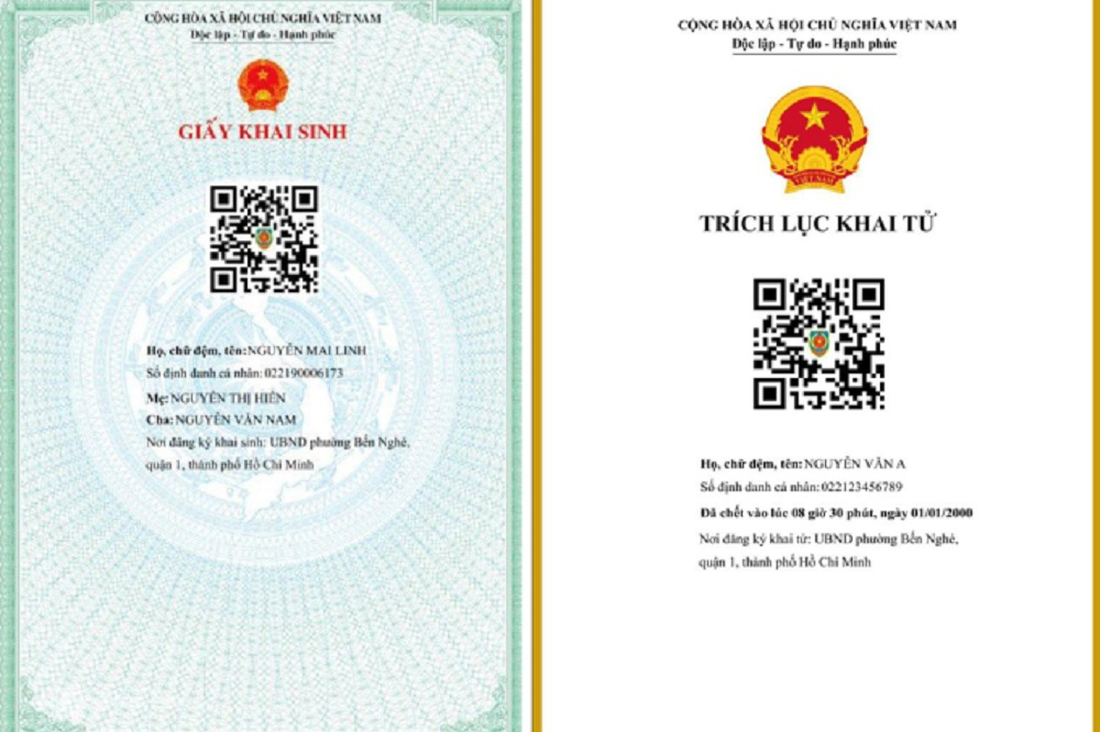 86213 gia y khai sinh dien tu 1681890817011861683196 16323119