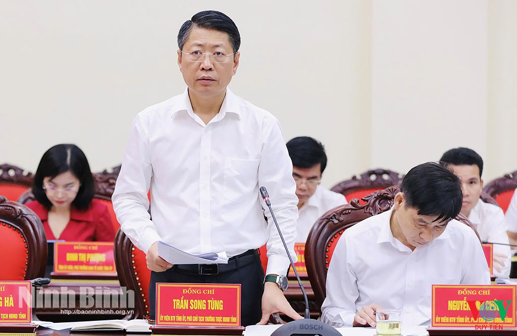tran song tung 202507241527 1753345681081