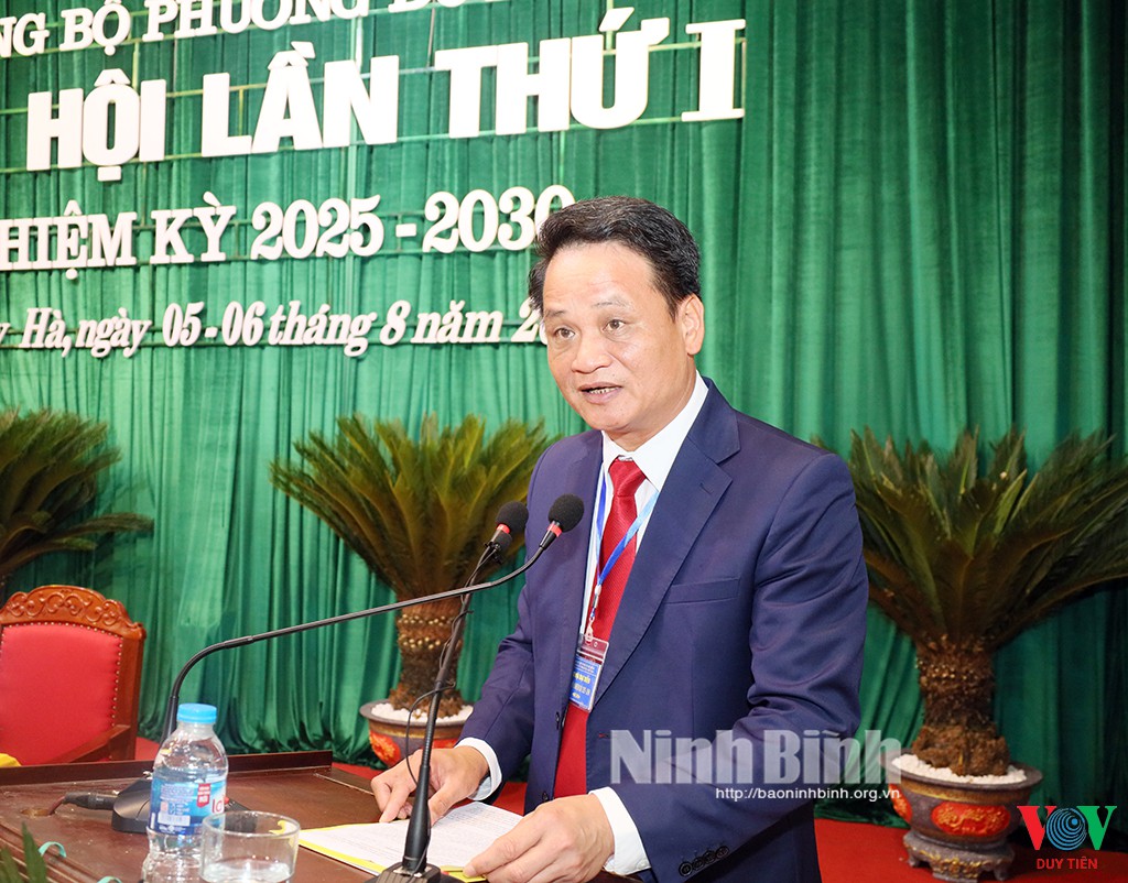 dao dinh tung 1754455804466