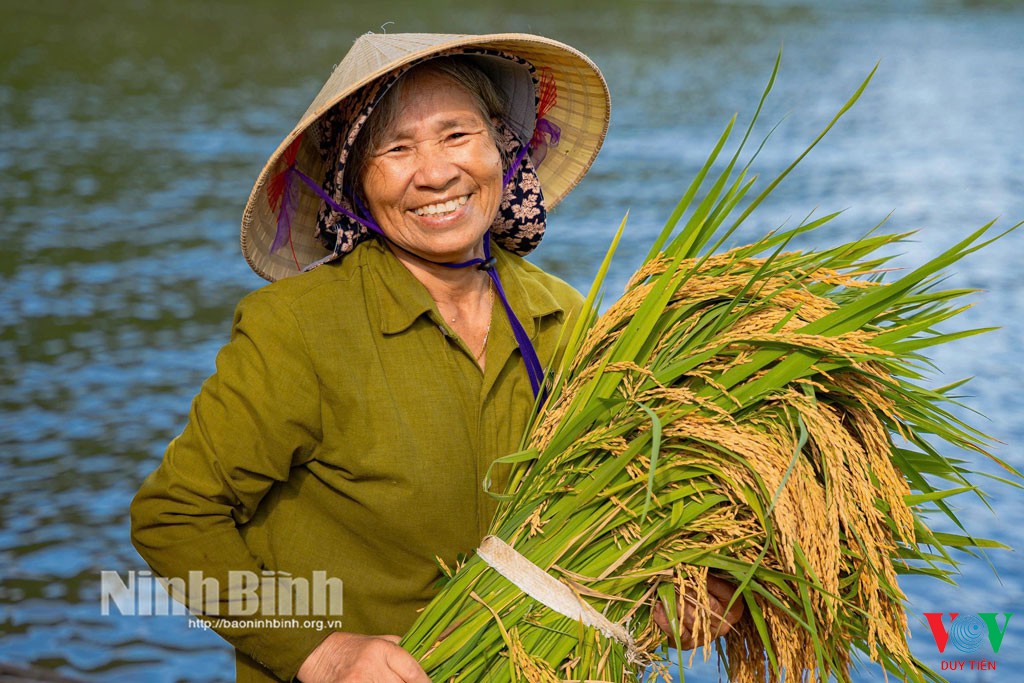 ninh binh don dau xu the nong nghiep huu co 598a