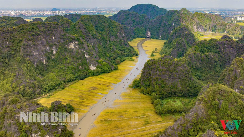 ninh binh don dau xu the nong nghiep huu co f6da
