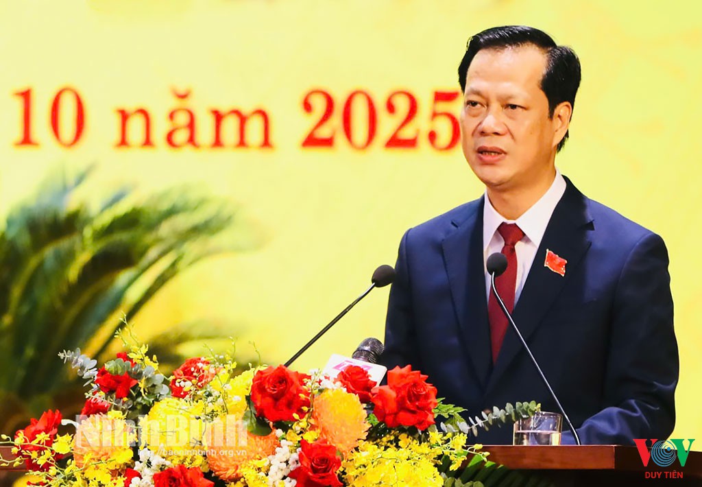 phien tru bi dai hoi dai bieu dang bo tinh ninh binh lan thu 236a