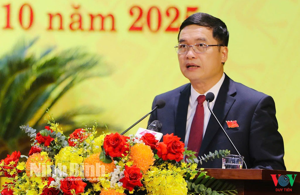 phien tru bi dai hoi dai bieu dang bo tinh ninh binh lan thu 6a03