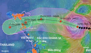 sieu bao 58c6