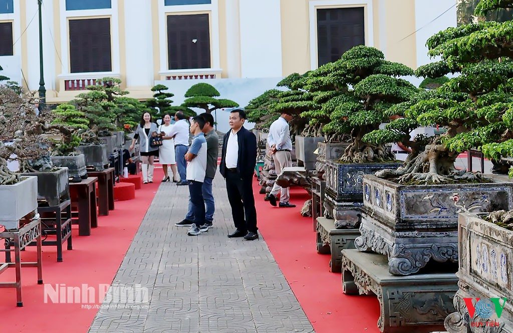 khai mac trien lam cay canh nghe thuat cum ha nam nam 2025 f537