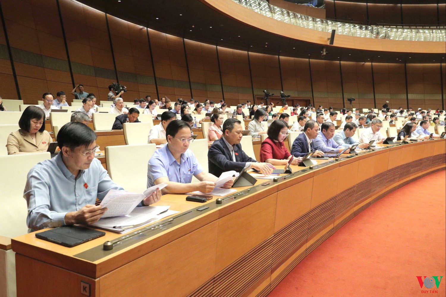 quang 1 5916 5642 jpg
